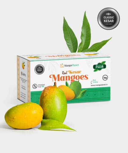 Classic Kesar Mangoes (5 Kgs)