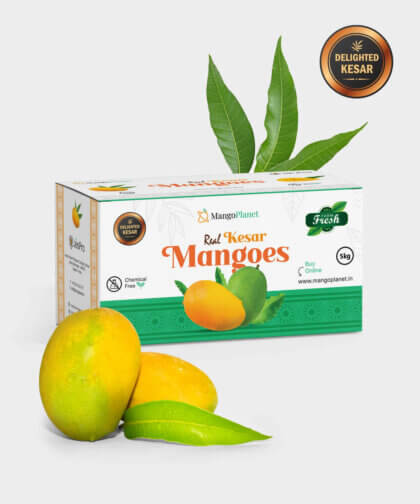 Delighted Kesar Mangoes (5kg)