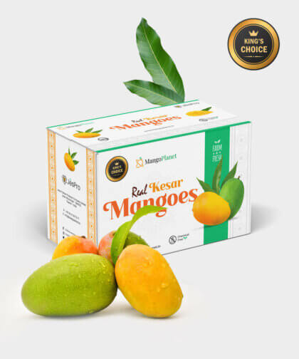 King's Choice Kesar Mangoes (10 Kgs)