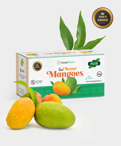 King's Choice Kesar Mangoes (5kgs)